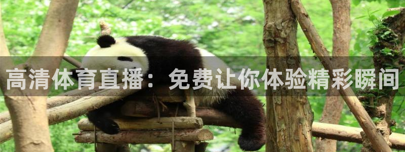 51视频在线直播nba：高清体育直播：免费让你体验精彩瞬间