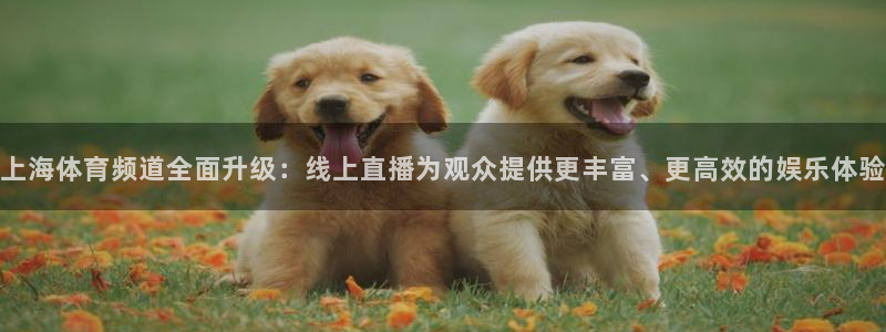 51视频在线直播nba：上海体育频道全面升级：线上直播为观众提供更丰富、更高效的娱乐体验