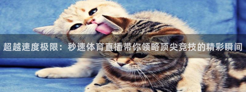 51视频在线直播nba：超越速度极限：秒速体育直播带你领略顶尖竞技的精彩瞬间