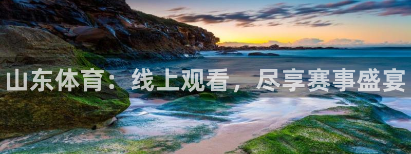51视频在线直播nba：山东体育：线上观看，尽享赛事盛宴
