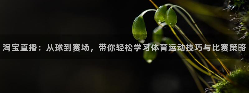 51视频在线直播nba：淘宝直播：从球到赛场，带你轻松学习体育运动技巧与比赛策略