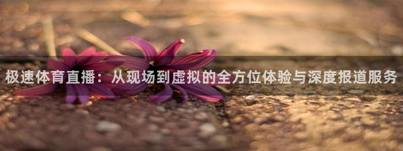 51视频在线直播nba：极速体育直播：从现场到虚拟的全方位体验与深度报道服务