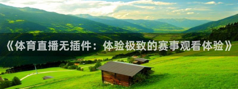 51视频在线直播nba：《体育直播无插件：体验极致的赛事观看体验》