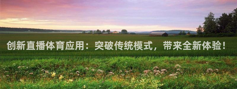 51视频在线直播nba：创新直播体育应用：突破传统模式，带来全新体验！