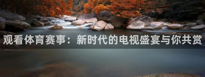 51视频在线直播nba：观看体育赛事：新时代的电视盛宴与你共赏